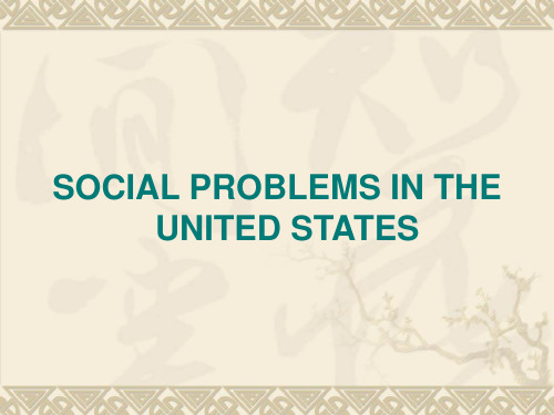 美国文化课件14. Am-social problems in the U.S.