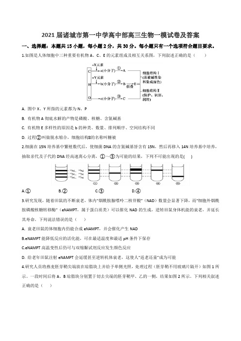 2021届诸城市第一中学高中部高三生物一模试卷及答案