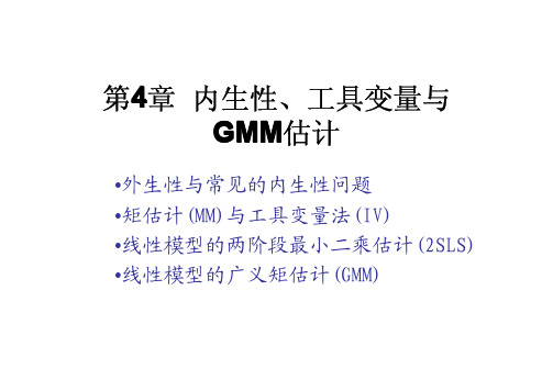 清华大学 五道口金融学院 潘文卿  内生性工具变量与GMM估计(优.选)