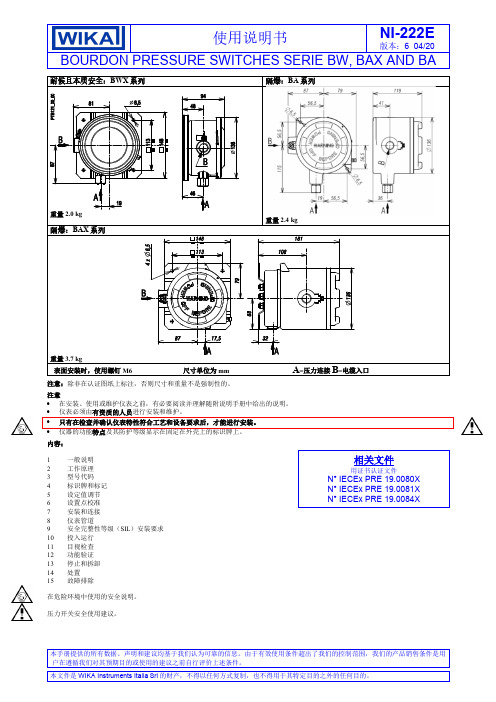 WIKA Instruments Italia Srl的NI-222E版本6 04 20说明书