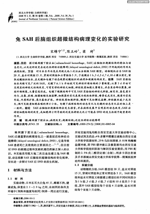 兔SAH后脑组织超微结构病理变化的实验研究