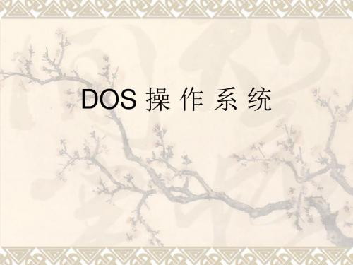 DOS操作系统