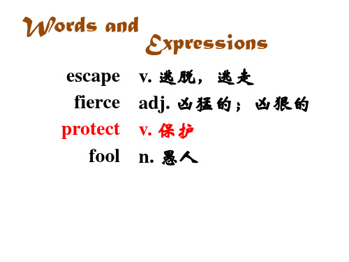 冀教版英语八年级下册 Unit 3 Lesson 17《Save the Tigers》课件(共39张)