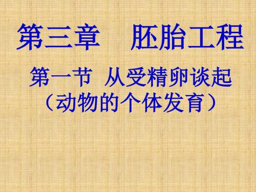 高中生物 第三章第一节 从受精卵谈起名师优质课件 浙科版选修3