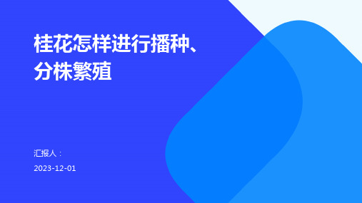 桂花怎样进行播种、分株繁殖