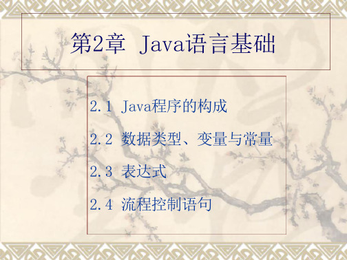 Java程序设计-第2章_JAVA语法基础