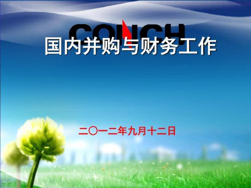 国内并购与财务工作课件(PPT53张)