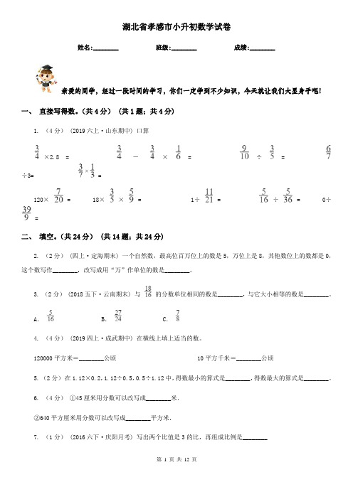 湖北省孝感市小升初数学试卷