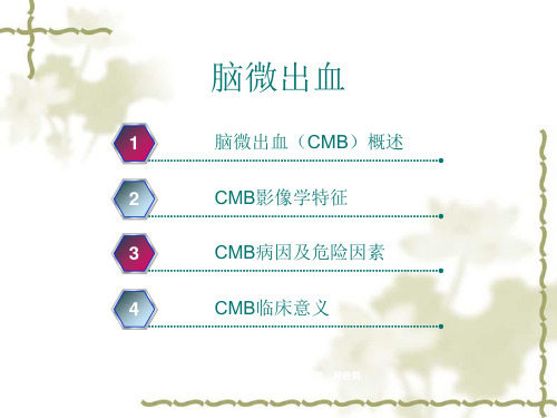 脑白质病变