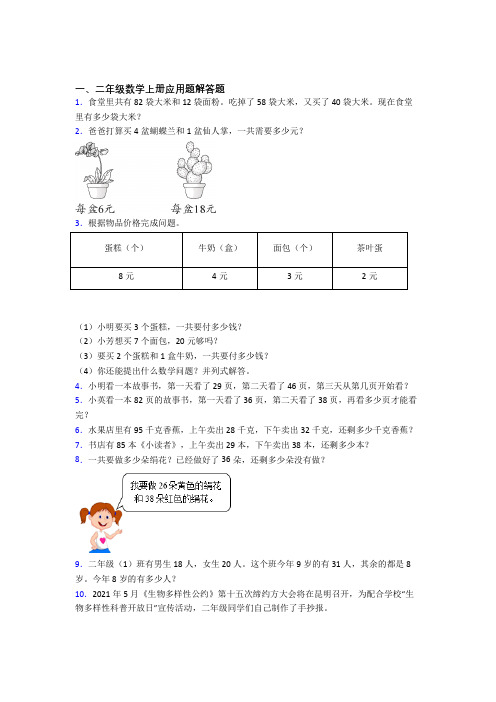 数学二年级上册应用题解答题精选精选拓展提高专项训练(含答案)