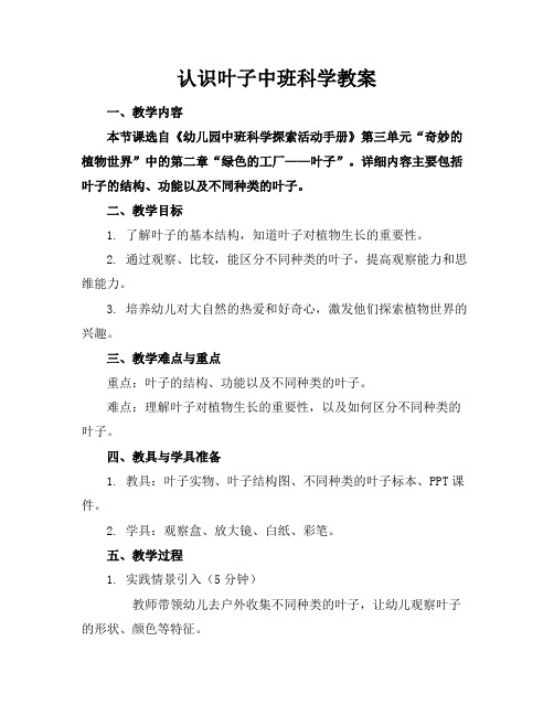 认识叶子中班科学教案