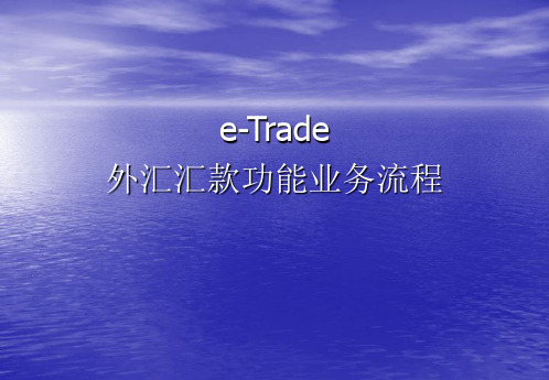 e-TRADE外汇汇款功能业务流程介绍(邹)