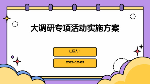 大调研专项活动实施方案