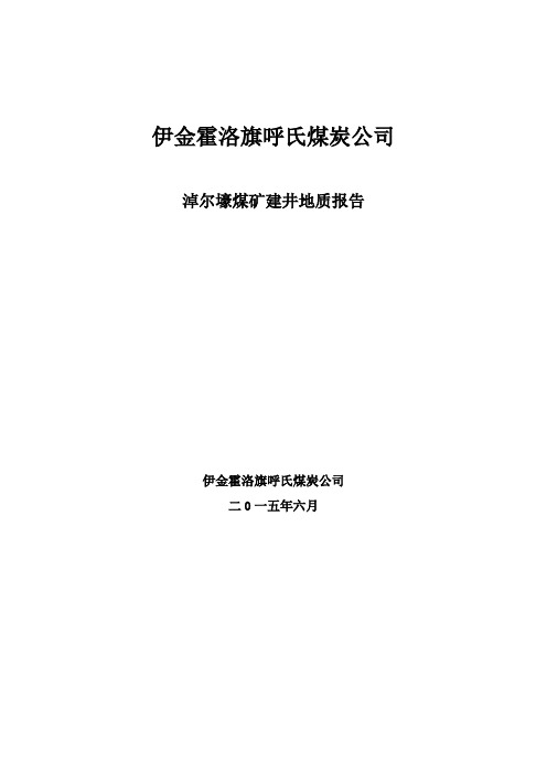 煤矿建井地质报告 (2)