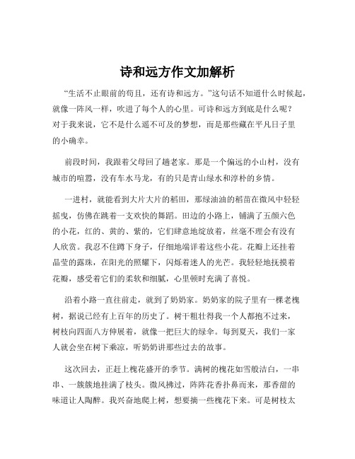 诗和远方作文加解析