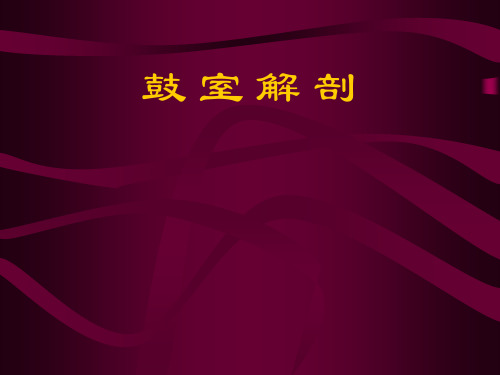 耳科医学课件：鼓室解剖