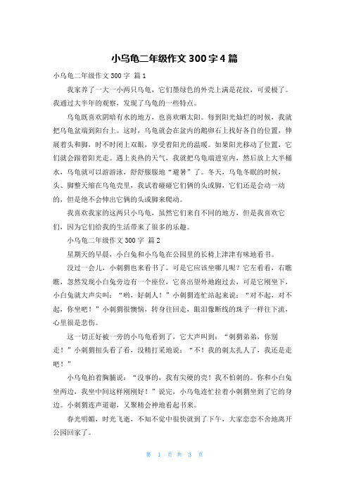 小乌龟二年级作文300字4篇