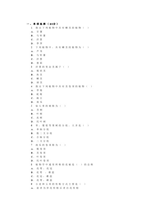 1马心同-植物学模拟题3