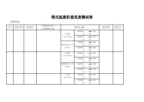 塔式起重机垂直度测试表