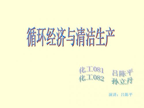 循环经济与清洁生