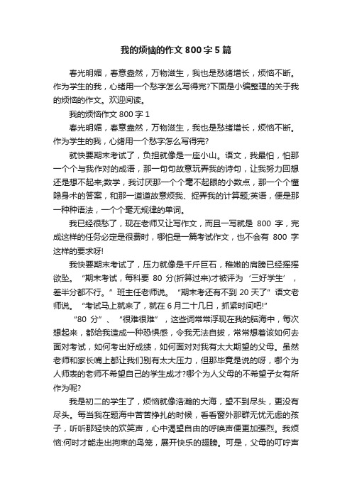 我的烦恼的作文800字5篇