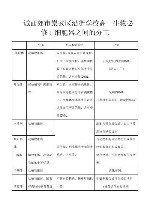 高一生物必修 细胞器之间的分工