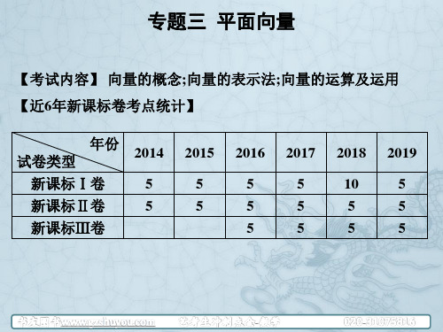 高考数学艺考生冲刺点睛课件：第一章 高考复习冲刺点金---客观题 专题三 平面向量(共21张PPT)