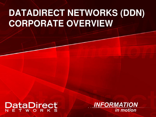 DDN (DataDirect Networks) 中文介绍 2010