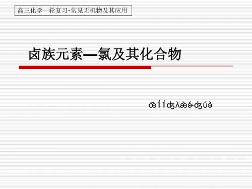 常见无机物及其应用-19卤素LX