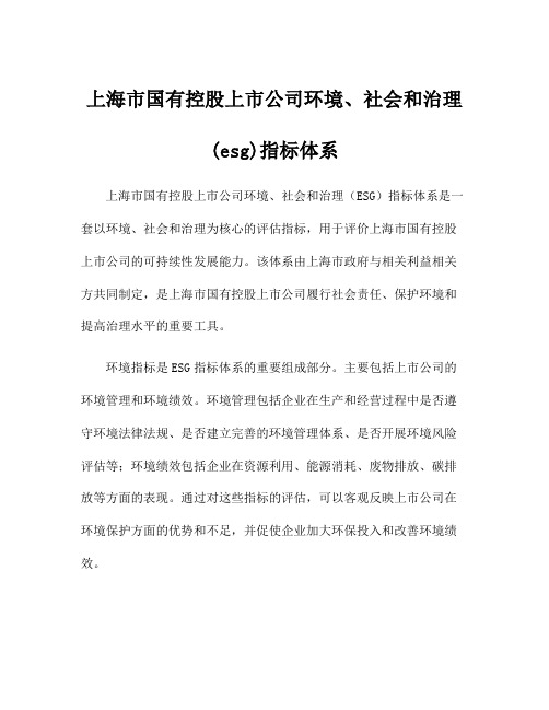 上海市国有控股上市公司环境、社会和治理(esg)指标体系