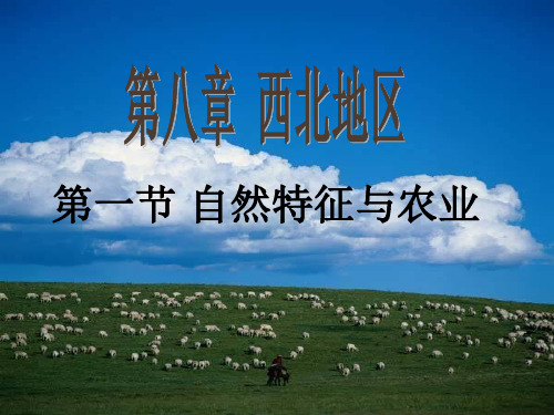 人教版地理八下第八章第1节《西北地区的自然特征与农业》优质课件 (3)(共31张)