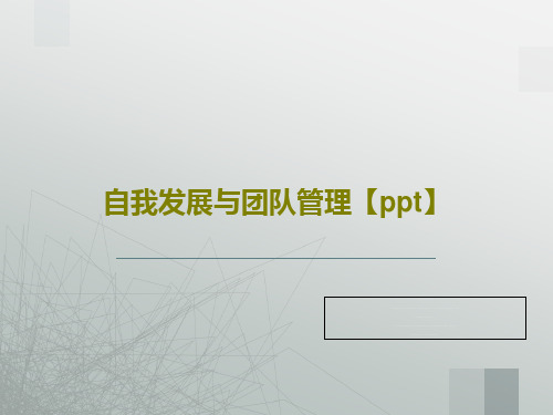 自我发展与团队管理【ppt】共88页文档