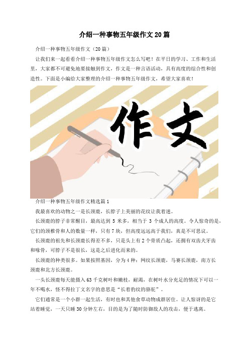 介绍一种事物五年级作文20篇