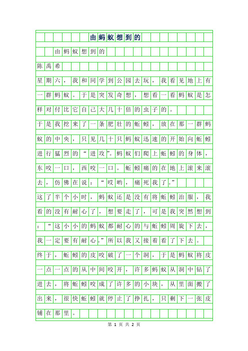 2019年四年级优秀作文-由蚂蚁想到的