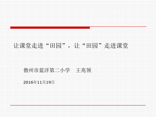 蓝洋第二小学的田园课程