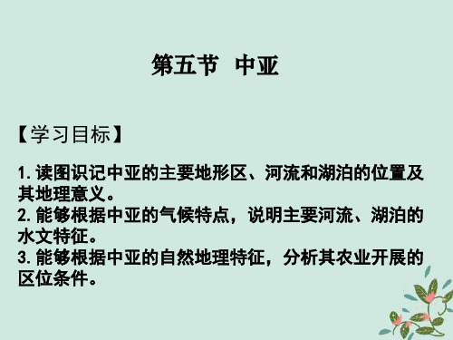 2021届高考地理一轮复习世界地理专题05中亚课件课件新人教版