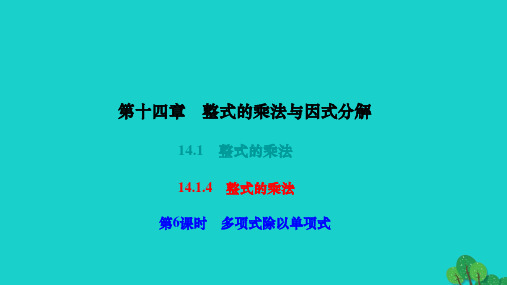 2022八年级数学上册第十四章整式的乘法与因式分解14.1整式的乘法14.1.4整式的乘法第6课时多