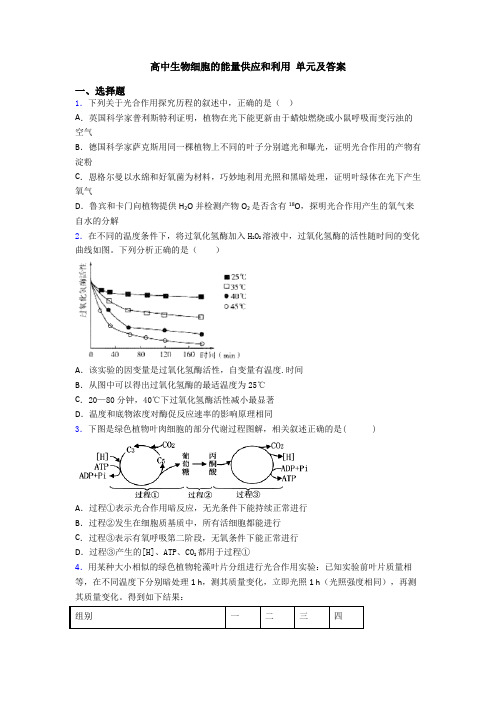 高中生物细胞的能量供应和利用 单元及答案