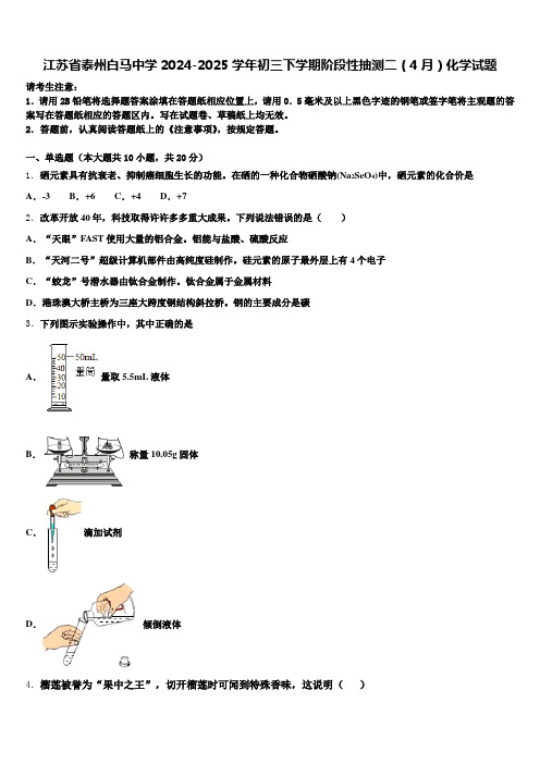 江苏省泰州白马中学2024-2025学年初三下学期阶段性抽测二(4月)化学试题含解析