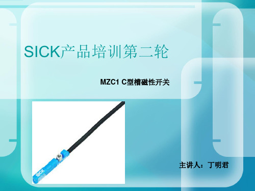 SICK磁性开关 MZC1 C型槽磁性开关