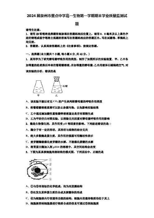 2024届泉州市重点中学高一生物第一学期期末学业质量监测试题含解析