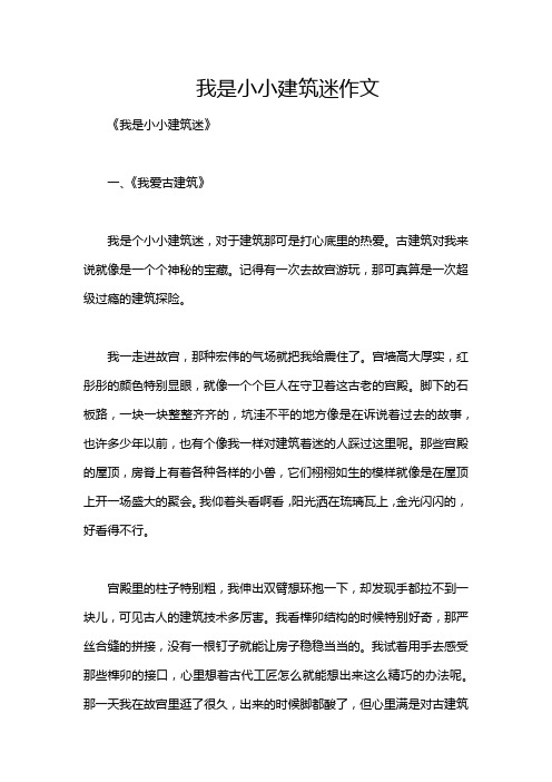 我是小小建筑迷作文