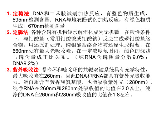 生物化学实验