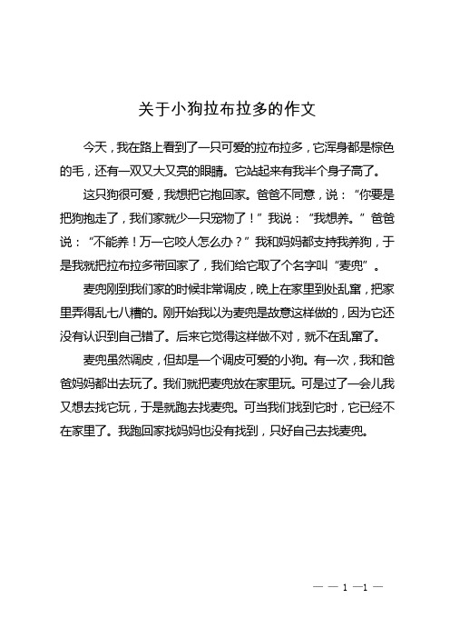 关于小狗拉布拉多的作文