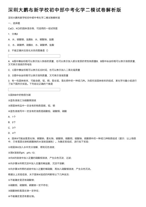 深圳大鹏布新学校初中部中考化学二模试卷解析版