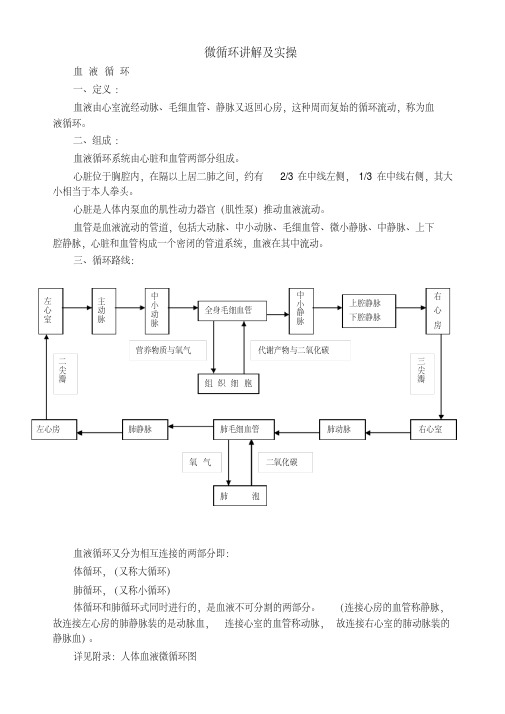 微循环讲解及实操