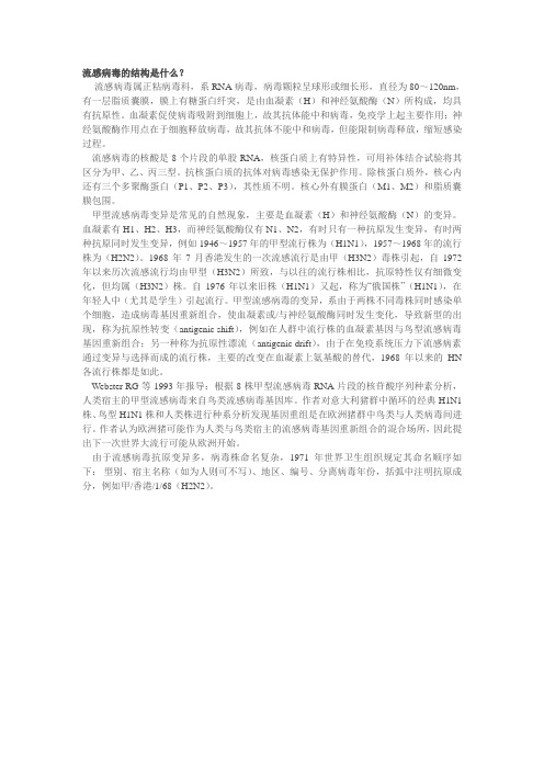 流感病毒的结构是什么