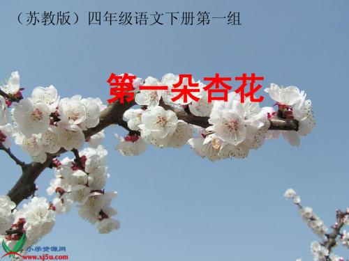 2、 第一朵杏花.ppt