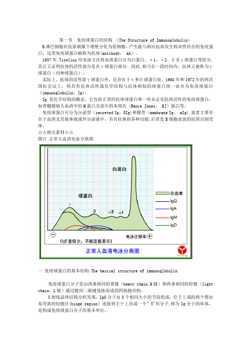 免疫球蛋白的结构