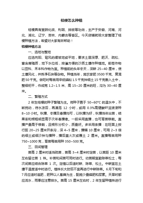 桔梗怎么种植